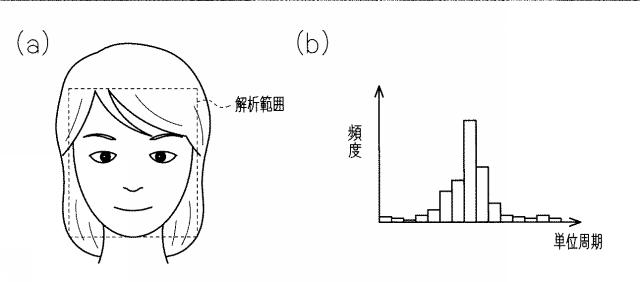 2019000474-脈拍周期検出装置、脈拍周期検出方法、脈拍周期検出プログラム、及び脈波検出装置 図000010