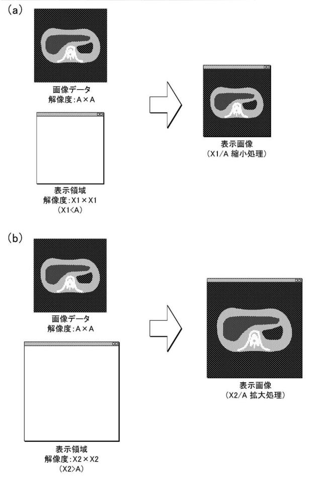 2019003086-画像処理装置およびコンピュータプログラム 図000010