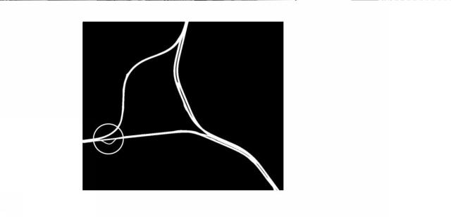 2019095569-地図情報処理装置、地図情報処理方法および地図情報処理プログラム 図000010