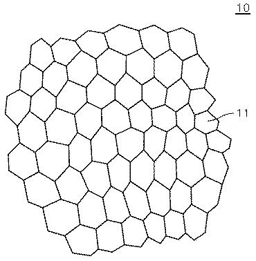 2020077611-リチウム二次電池用正極活物質およびこれを含むリチウム二次電池 図000010