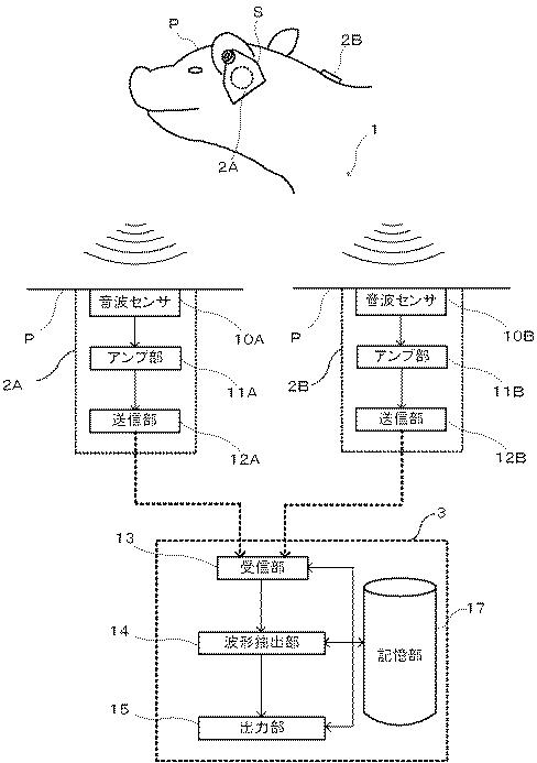 2021194355-生体信号抽出装置、生体信号抽出方法及びプログラム 図000010
