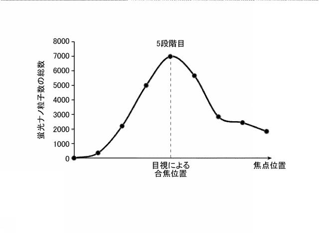 2016223931-蛍光画像の合焦システム、合焦方法および合焦プログラム 図000011