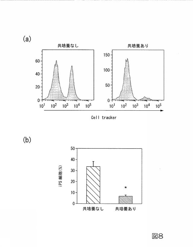 2018093823-未分化幹細胞除去剤及び未分化幹細胞除去方法 図000011