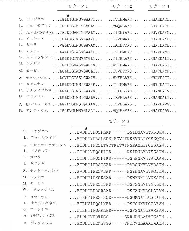 2018138054-ＲＮＡ依存性標的ＤＮＡ修飾およびＲＮＡ依存性転写調節のための方法および組成物 図000011
