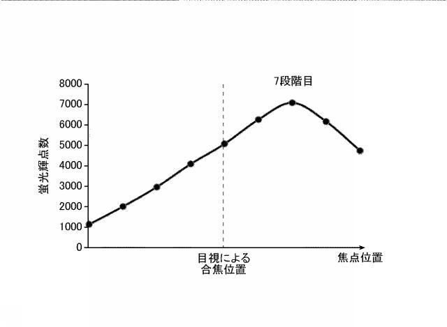 2016223931-蛍光画像の合焦システム、合焦方法および合焦プログラム 図000012