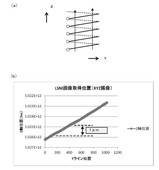 2017133852-三次元形状測定装置 図000012