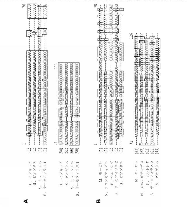 2018138054-ＲＮＡ依存性標的ＤＮＡ修飾およびＲＮＡ依存性転写調節のための方法および組成物 図000012