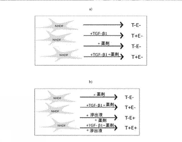 2019038847-創傷、特に慢性創傷の処置のための分子標的 図000012