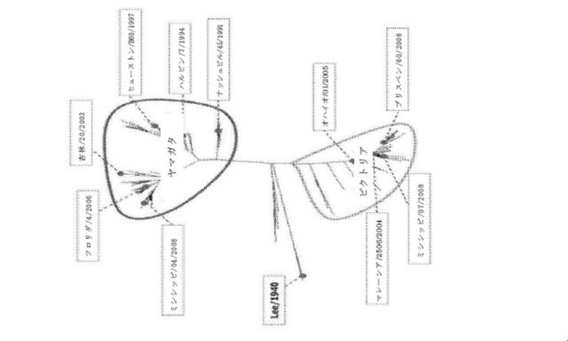 2020096618-インフルエンザ受動免疫に有用な抗体ならびにその使用のための組成物、組合せおよび方法 図000012