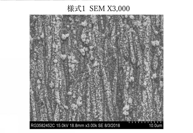 2020200534-背面処理電解銅箔及びそれを用いた銅箔基板 図000012