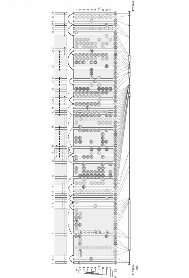 2020202810-集積集合データの製造装置、製造方法、プログラム、および記録媒体 図000012