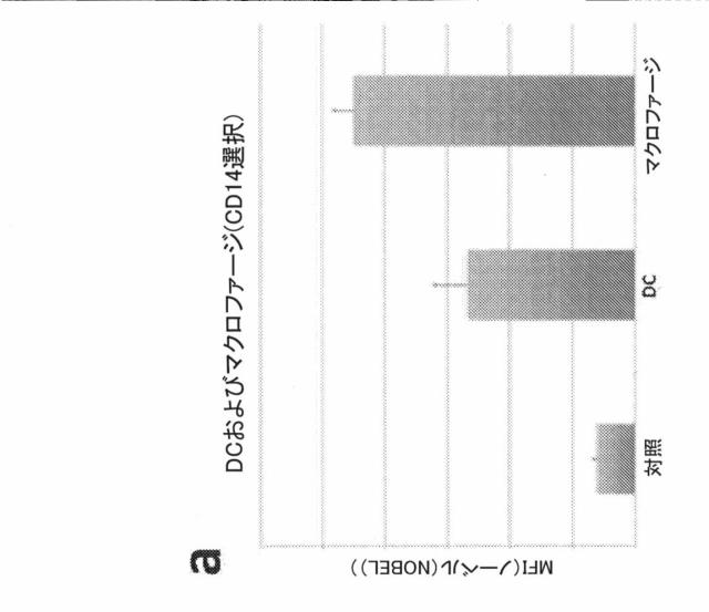 2021193143-免疫調節性Ｍ２単球を選択的に低減することによってがんを治療し、治療的免疫を増強するための方法および組成物 図000012