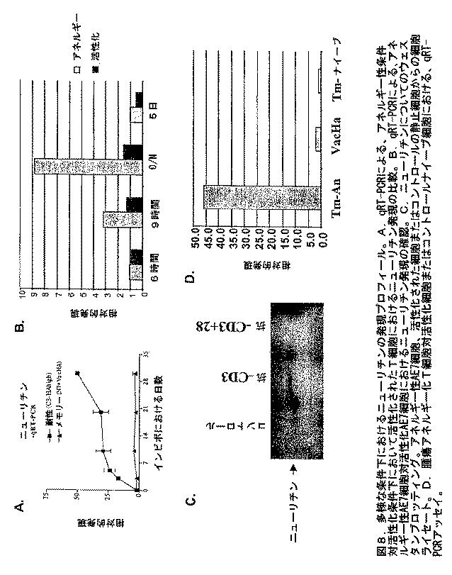 2016183163-抗体、アゴニストおよびアンタゴニストを用いてニューリチン遺伝子をターゲティングすることによる調節性Ｔ細胞およびＤＣの機能の操作 図000013