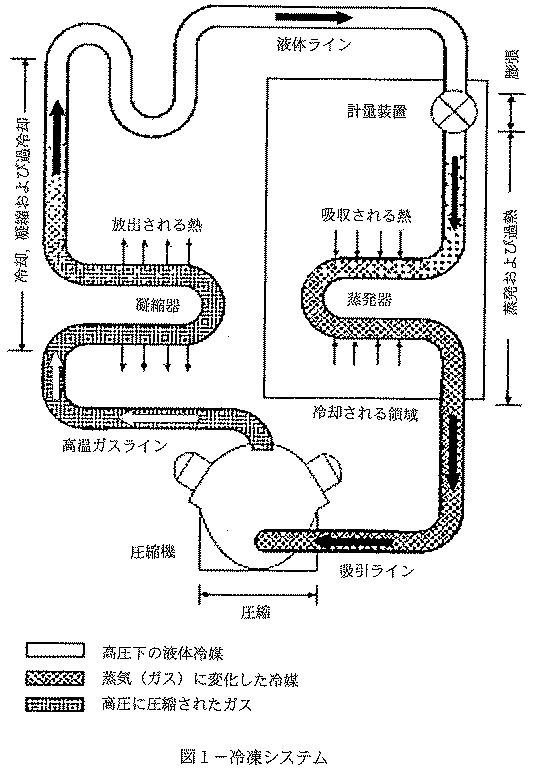 2017197767-冷媒組成物および低温冷凍システムにおけるそれらの使用 図000013