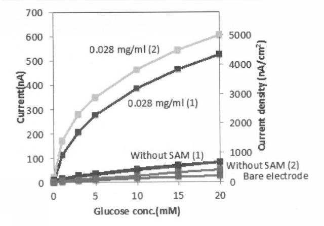 2017211383-酵素電極およびそれを用いたバイオセンサ 図000013
