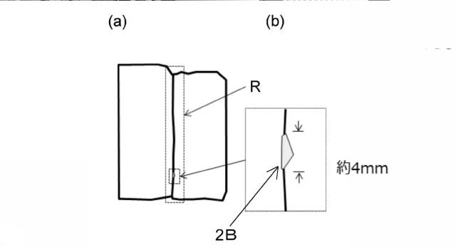 2017226116-シート融着体のシール縁部の検査方法 図000013