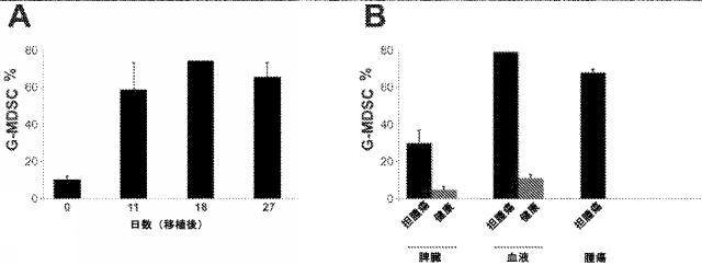 2020019802-骨髄由来抑制細胞の抑制及び免疫チェックポイント阻害の方法 図000013