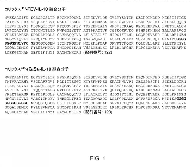 2021008468-生物活性カーゴの経口送達のためのコリックス毒素由来融合分子 図000013