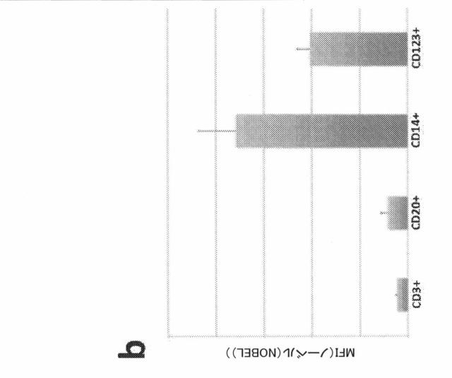 2021193143-免疫調節性Ｍ２単球を選択的に低減することによってがんを治療し、治療的免疫を増強するための方法および組成物 図000013