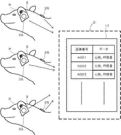 2021194355-生体信号抽出装置、生体信号抽出方法及びプログラム 図000013