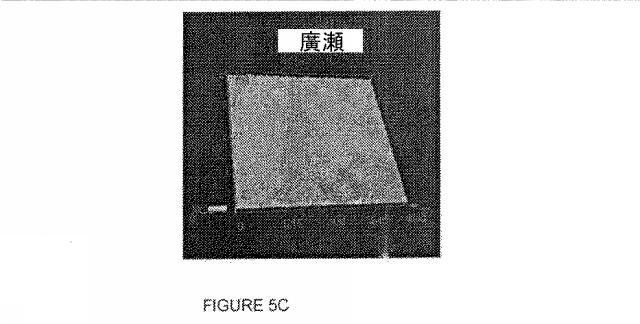 2017000785-ナノファイバ含有複合構造体 図000014