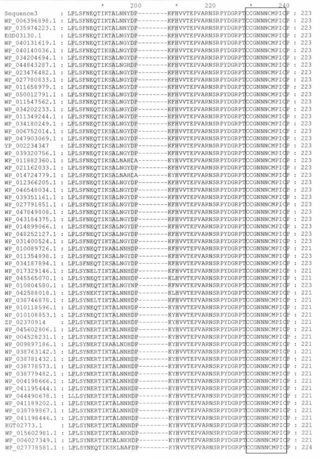 2017079721-変異グルコース脱水素酵素およびその利用 図000014