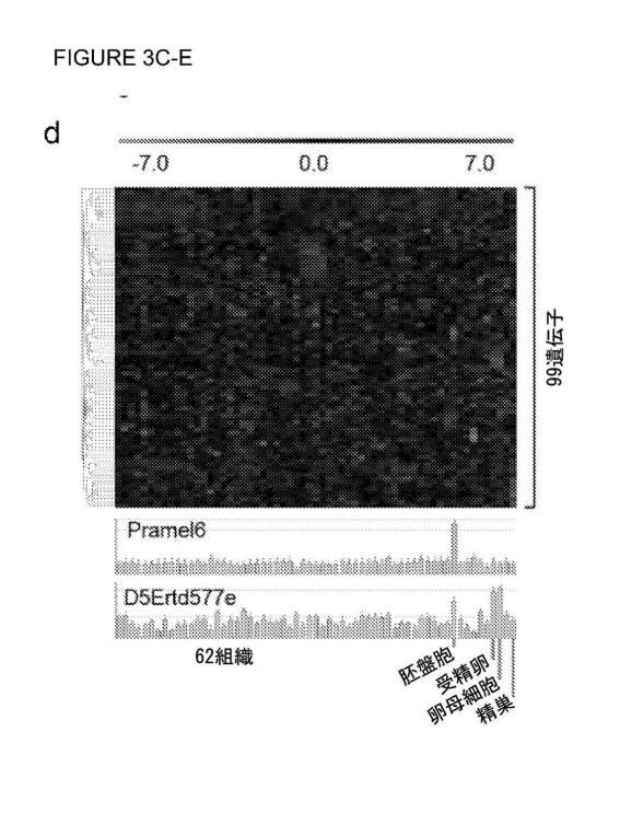 2017212985-ＺＳＣＡＮ４とＺＳＣＡＮ４依存性遺伝子を利用した体細胞の直接的な再プログラム化 図000014