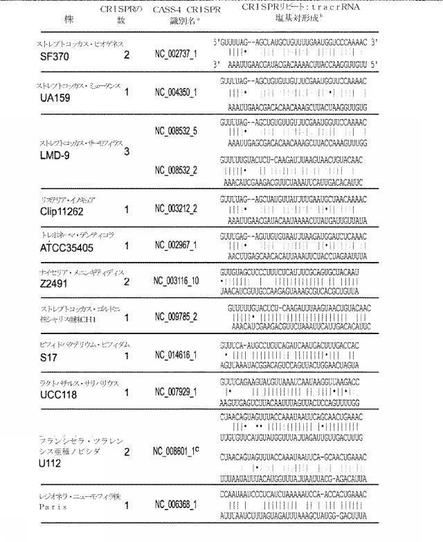 2018138054-ＲＮＡ依存性標的ＤＮＡ修飾およびＲＮＡ依存性転写調節のための方法および組成物 図000014
