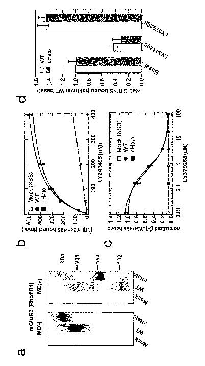 2018179946-Ｇタンパク質共役型受容体（ＧＰＣＲ）の活性評価方法 図000014