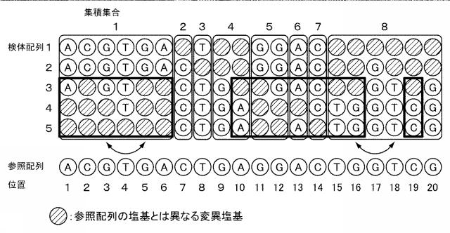 2020202810-集積集合データの製造装置、製造方法、プログラム、および記録媒体 図000014