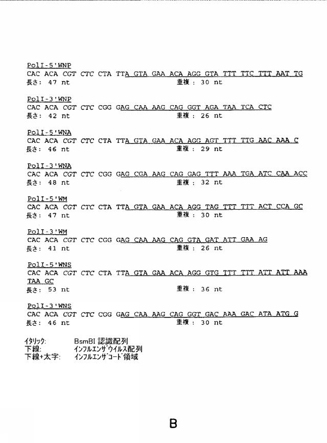 2015119735-ワクチンおよび遺伝子療法用の組換えインフルエンザウイルス 図000015