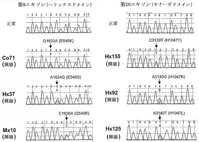 2016041078-ヒトの癌におけるＰＩＫ３ＣＡ遺伝子の変異 図000015