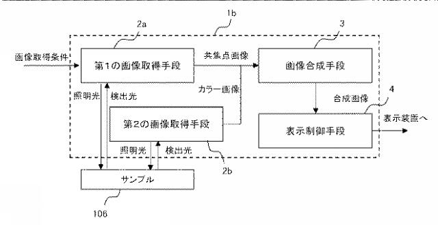 2017134115-顕微鏡装置、及び画像表示プログラム 図000015