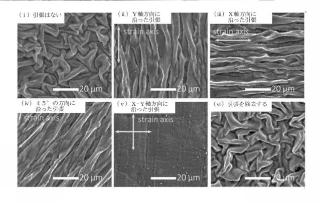 2020004706-引張り可能な複合電極及び引張り可能なリチウムイオン二次電池 図000015