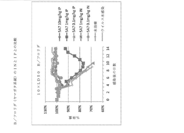2020096618-インフルエンザ受動免疫に有用な抗体ならびにその使用のための組成物、組合せおよび方法 図000015