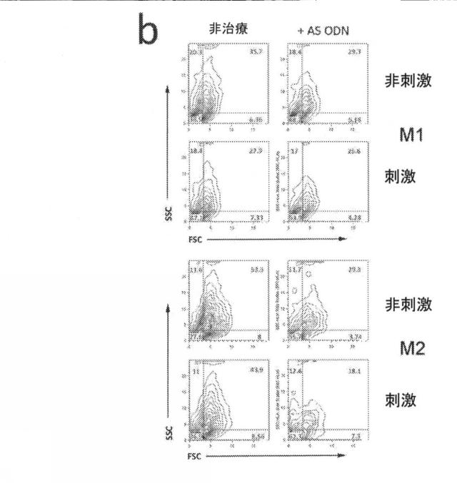 2021193143-免疫調節性Ｍ２単球を選択的に低減することによってがんを治療し、治療的免疫を増強するための方法および組成物 図000015