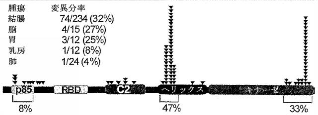 2016041078-ヒトの癌におけるＰＩＫ３ＣＡ遺伝子の変異 図000016