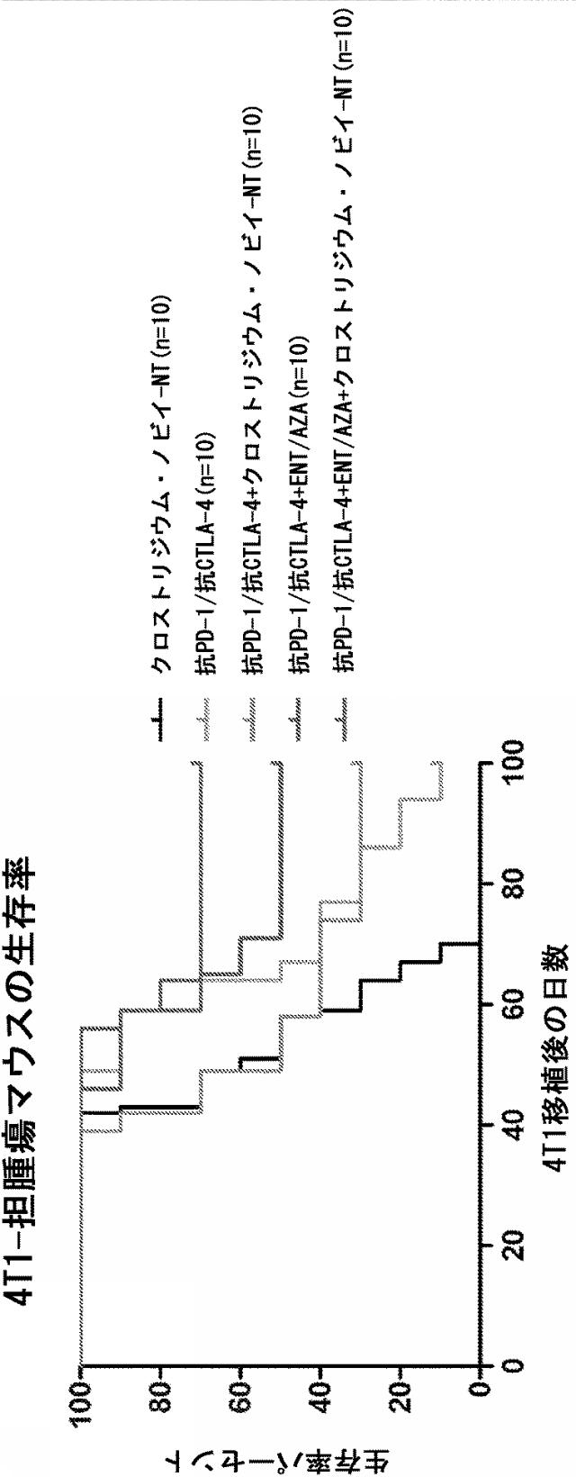 2020019802-骨髄由来抑制細胞の抑制及び免疫チェックポイント阻害の方法 図000016