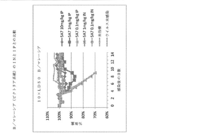 2020096618-インフルエンザ受動免疫に有用な抗体ならびにその使用のための組成物、組合せおよび方法 図000016