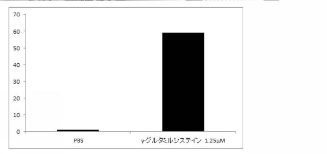 2021075545-血中フリー体ＡＩＭ増加用組成物 図000016