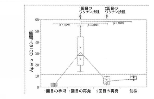 2021193143-免疫調節性Ｍ２単球を選択的に低減することによってがんを治療し、治療的免疫を増強するための方法および組成物 図000016