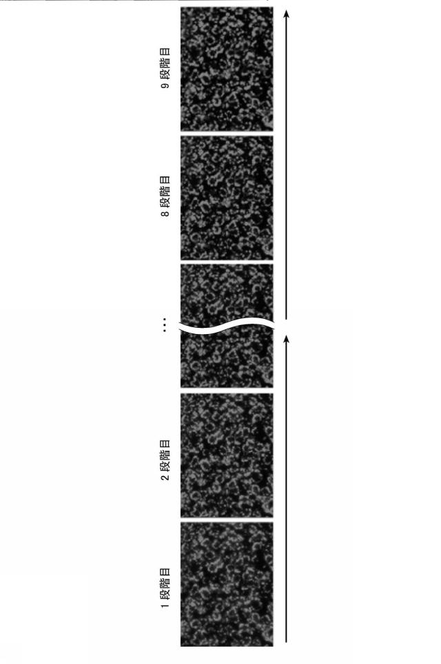 2016223931-蛍光画像の合焦システム、合焦方法および合焦プログラム 図000017