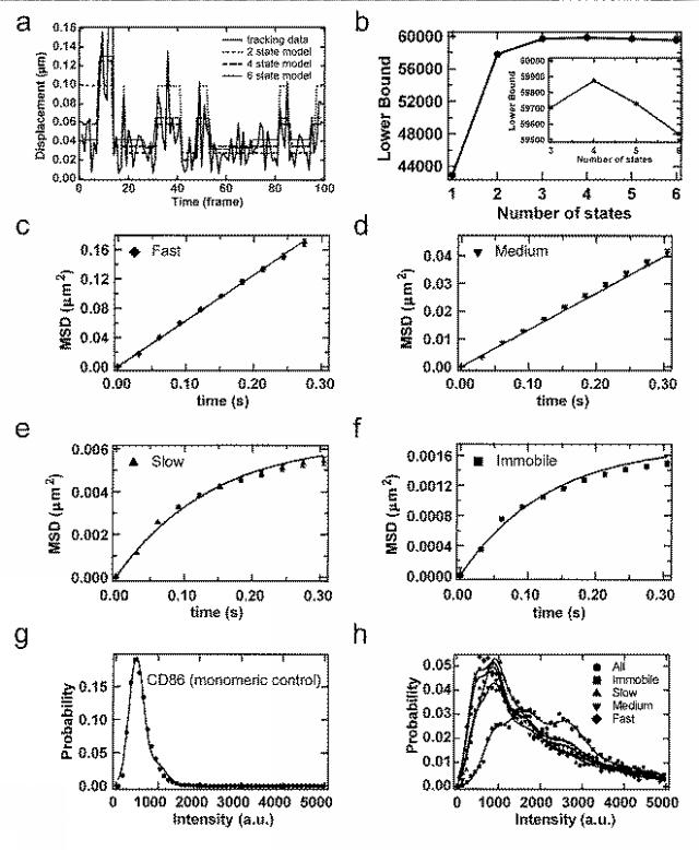 2018179946-Ｇタンパク質共役型受容体（ＧＰＣＲ）の活性評価方法 図000017