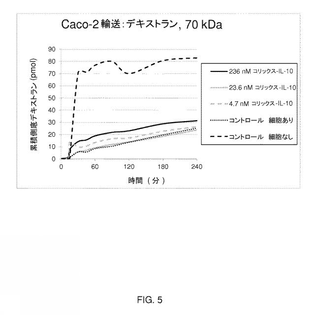 2021008468-生物活性カーゴの経口送達のためのコリックス毒素由来融合分子 図000017