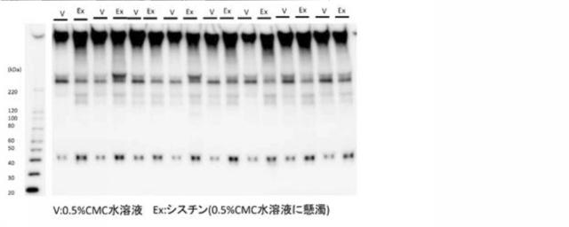 2021075545-血中フリー体ＡＩＭ増加用組成物 図000017