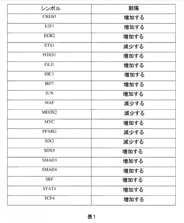 2019038847-創傷、特に慢性創傷の処置のための分子標的 図000018