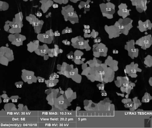 2020077611-リチウム二次電池用正極活物質およびこれを含むリチウム二次電池 図000018