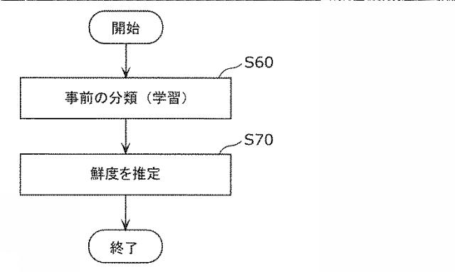 2015232543-魚の鮮度推定方法及び鮮度推定装置 図000019