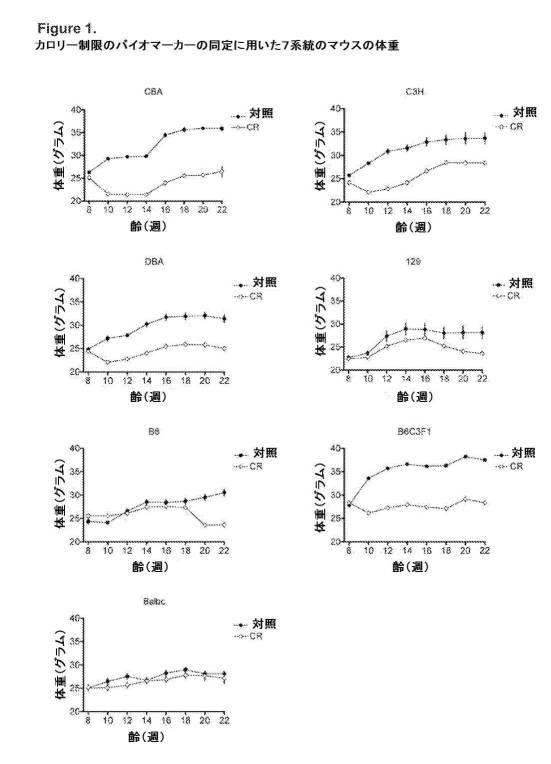 2016195613-カロリー制限およびカロリー制限模倣物の同定用マーカー 図000019