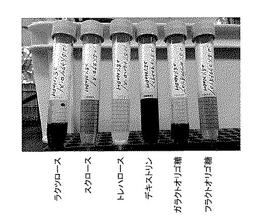 2017221156-ストレプトコッカス・サーモフィルス発酵促進剤 図000019